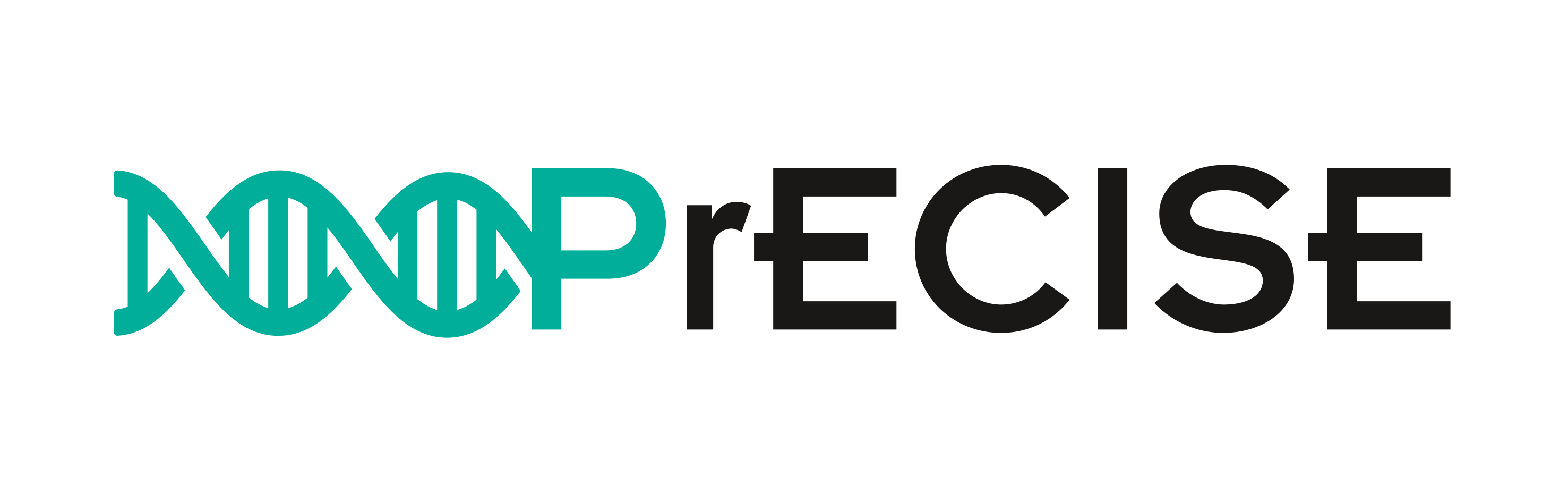 Project Logo PrECISE Project Logo PrECISE